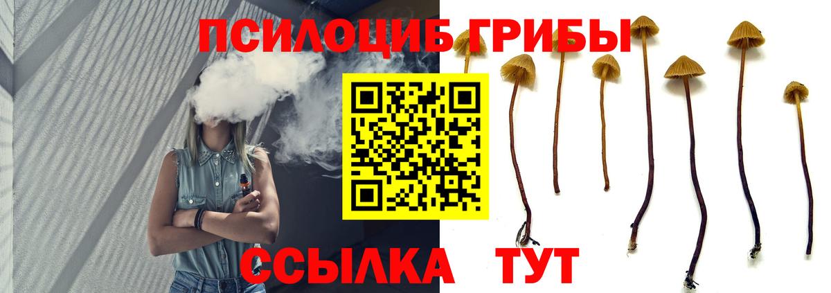 Галлюциногенные грибы GOLDEN TEACHER  Вход с VPN  Псилоцибиновые грибы мицелий  Алатырь 